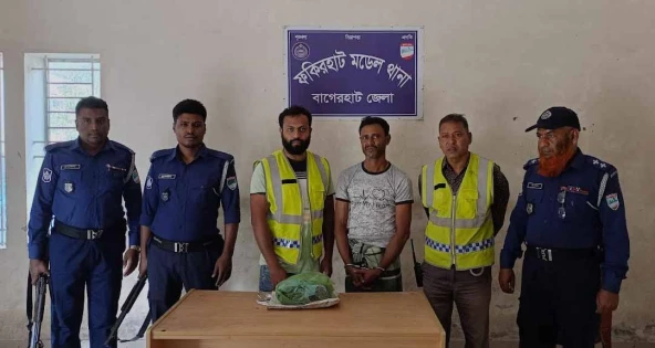 আম গাছের মাটির নিচ থেকে গাজা উদ্ধার, আটক ১